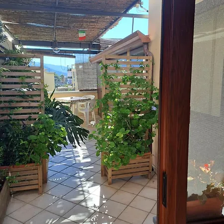 La Coccinella *